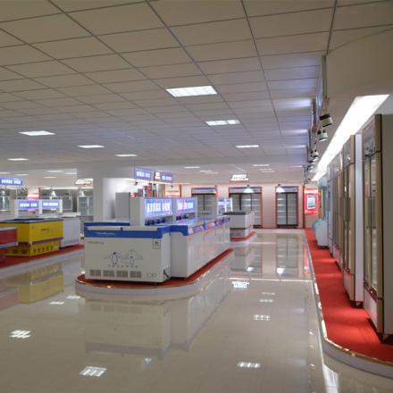 胸部冰柜可以无霜吗